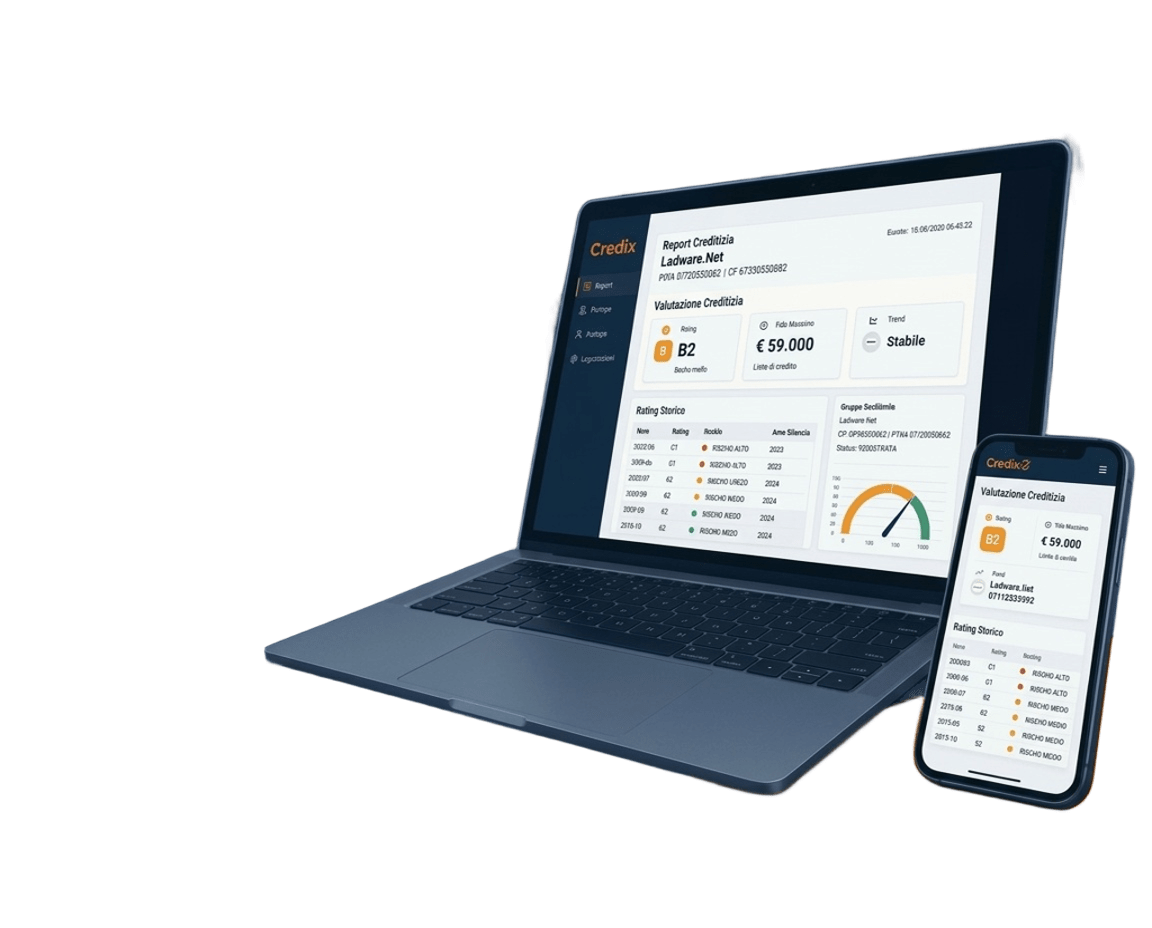 Dashboard Credix